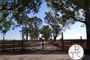 imagen portones rurales entradas para campos