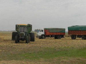 pool de siembra sin margen de rentabilidad