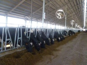 inversion en instalaciones rurales