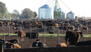 instalaciones rurales