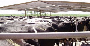 instalaciones rurales