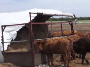 instalaciones rurales adaptadas para el autoconsumo