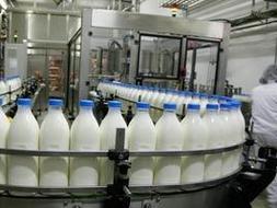 Lácteos: En 2014 subirá la producción y bajarán los precios