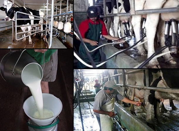Gobierno prometió que no volverán retenciones a los lácteos