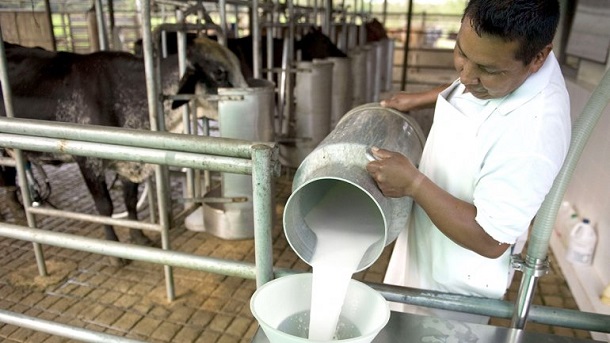 Los tamberos tendrán que darle al Gobierno detalles de elaboración y existencia de lácteos