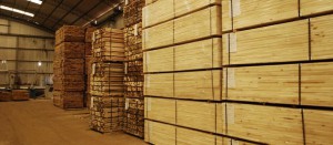 deposito de madera blanda