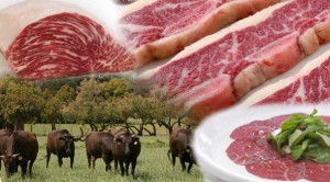 produccion bovina en argentina