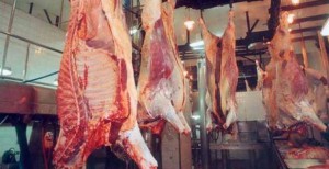 exportacion de carne vacuna hacienda