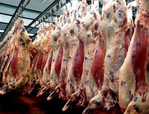 industria frigorifica exportacion de carne vacuna