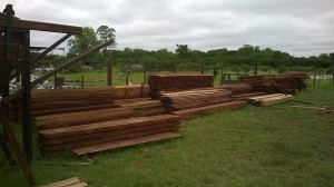 aserradero urunday mora lapacho quebracho colorado