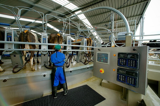 Nueva Zelanda y China pisan fuerte en el mercado lácteo
