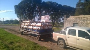 articulos rurales ganaderos para manejo de hacienda bovina