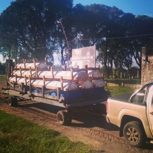 comederos bateas de madera o tambores plasticos