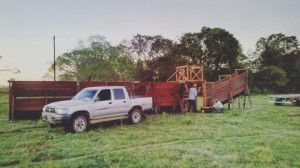 madera dura de urunday instalaciones ganaderas